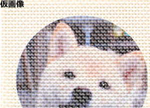 インクジェット印刷の使用例